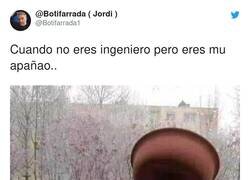 Enlace a Hace su función, por @Botifarrada1