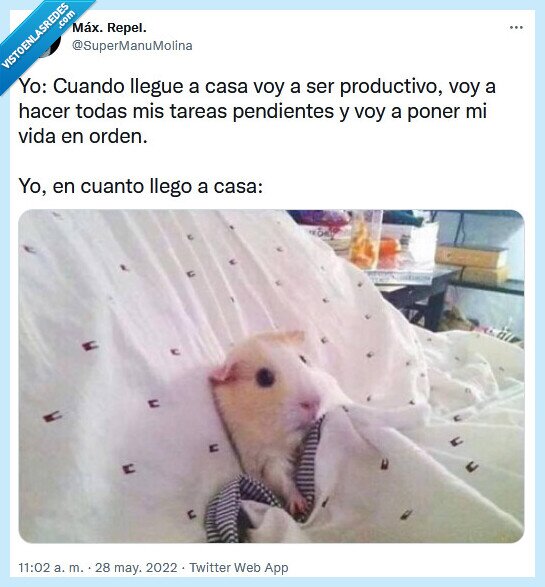 productivo,casa,llegar,tareas