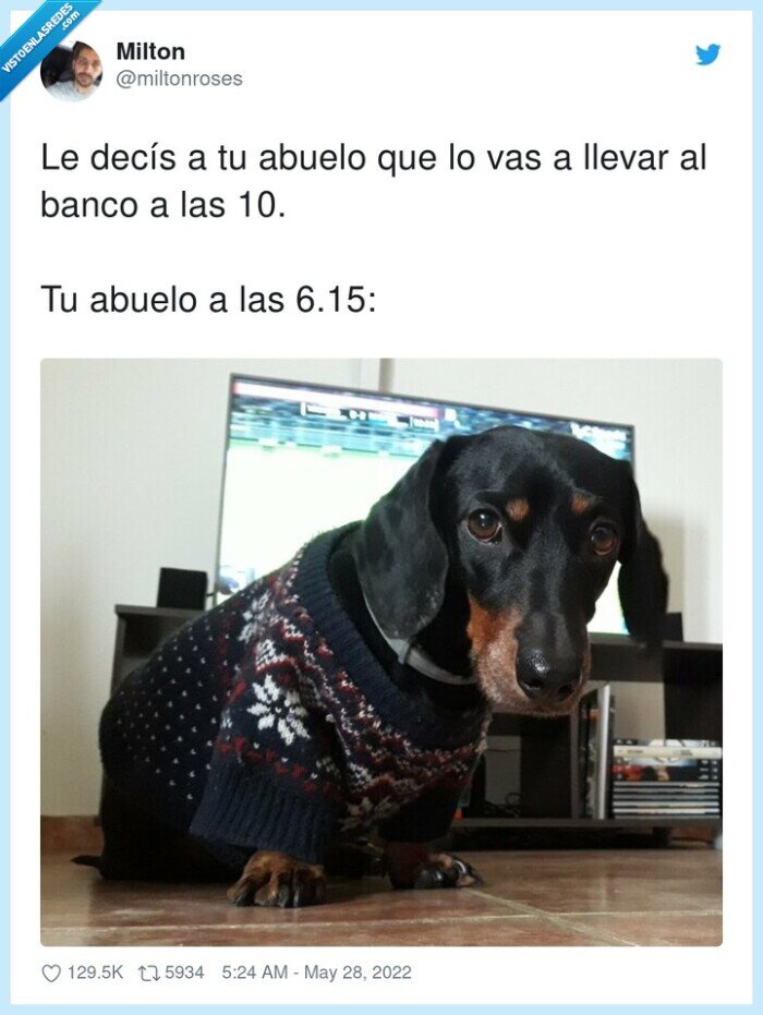 abuelo,llevar,banco,preparado