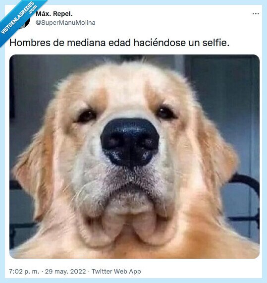 selfie,hombres,mediana edad,perro