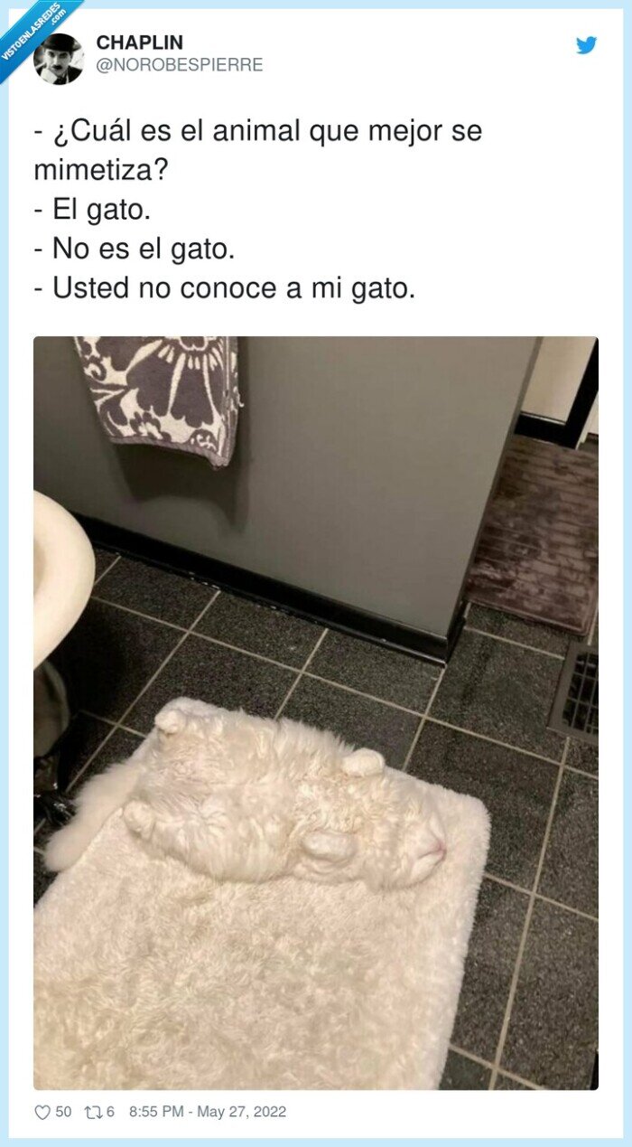 mimetizar,animal,gato,alfombra