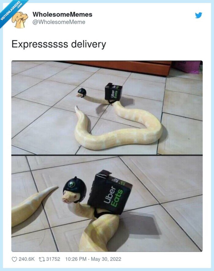 expressssss,delivery,uber eats,serpiente
