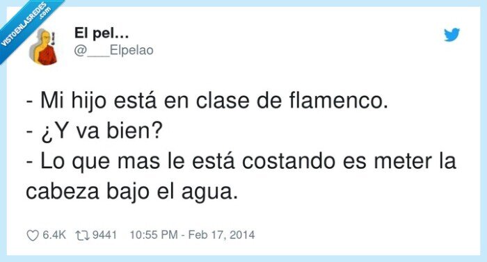 flamenco,cabeza,bajo agua,clase,meter