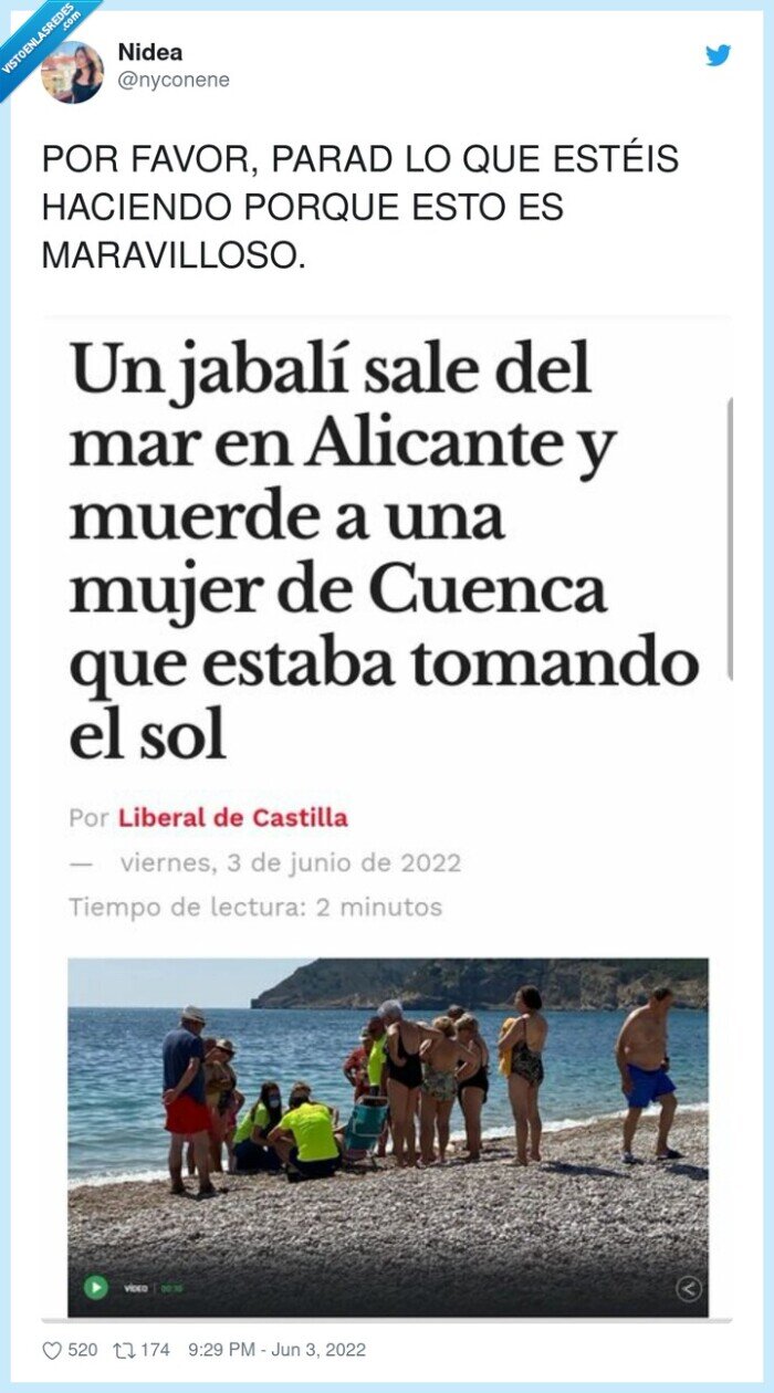 maravilloso,jabalí,playa,mar,alicante,tomar el sol