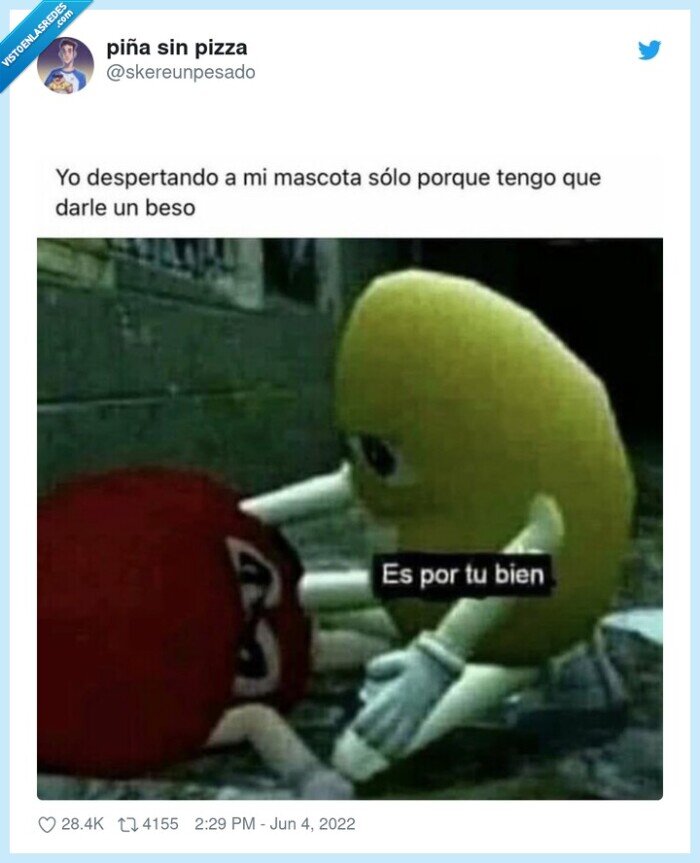 perro,despertar,caricia