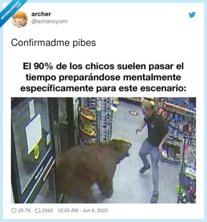 prepararse,pelea,oso,supermercado