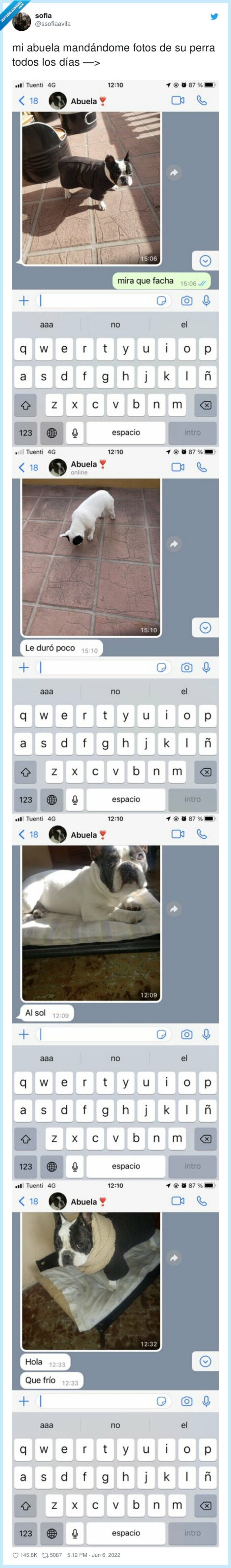 abuela,fotos,perra,todos,días