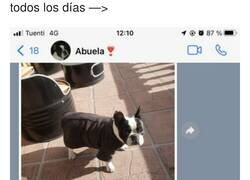 Enlace a Si tu abuela te manda estos whatsapp, por favor, hazle una visita que se encuentra sola, por @ssofiaavila