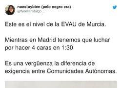 Enlace a Carreful, por @Noeliahidalgo__