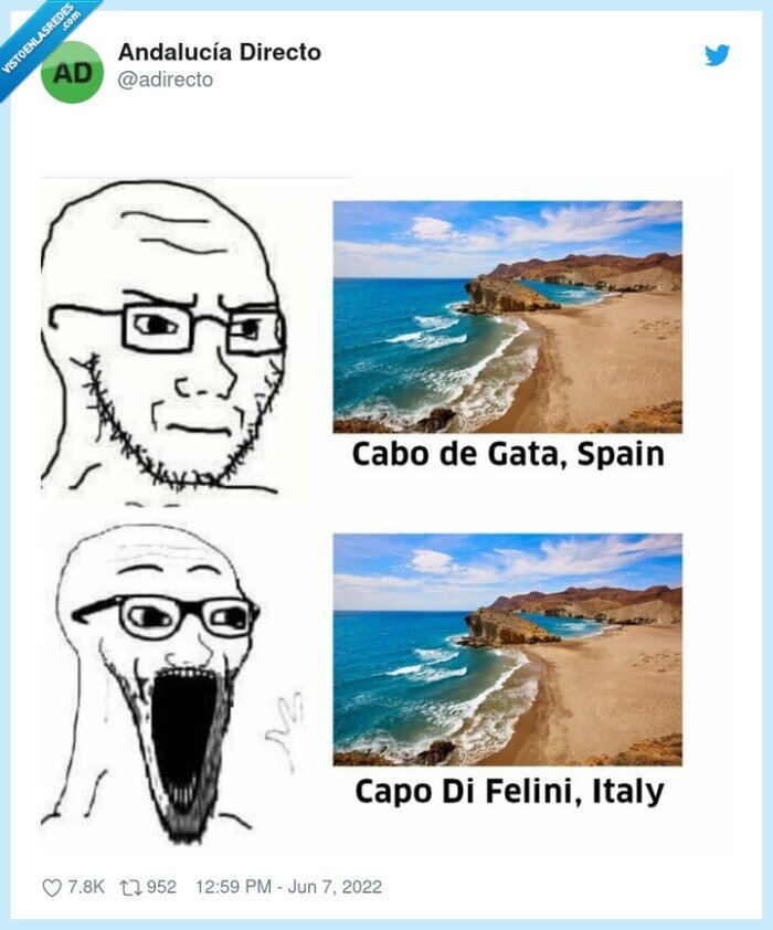 cabo de gata,capo di felini
