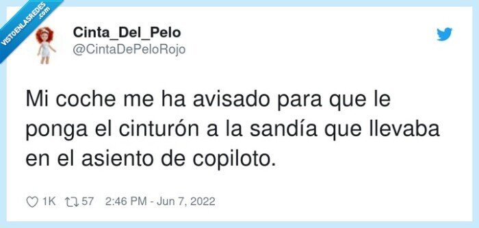 cinturón,copiloto,avisar,sandía