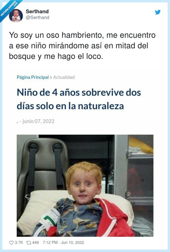 hambriento,mirándome,perdido,bosque,niño