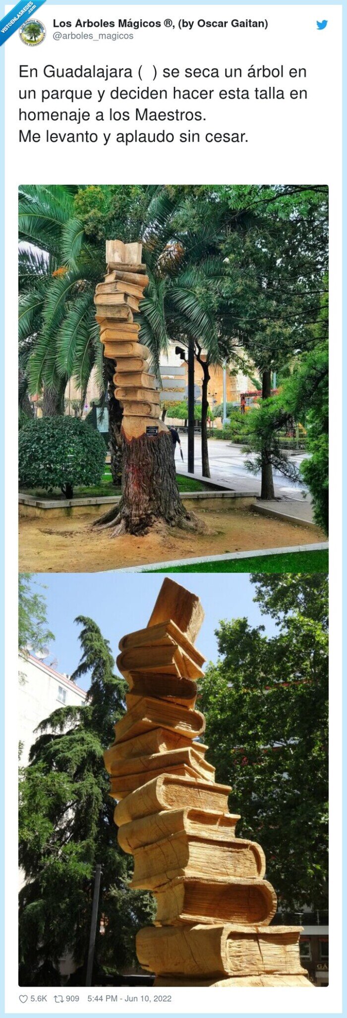 guadalajara,homenaje,maestros,arbol,libros