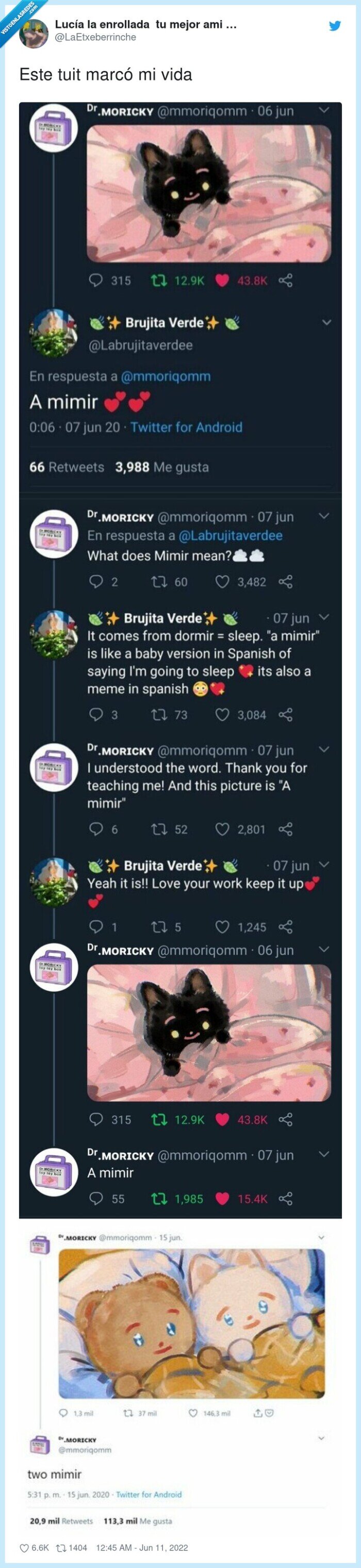 mimir,gatos,meme,remember