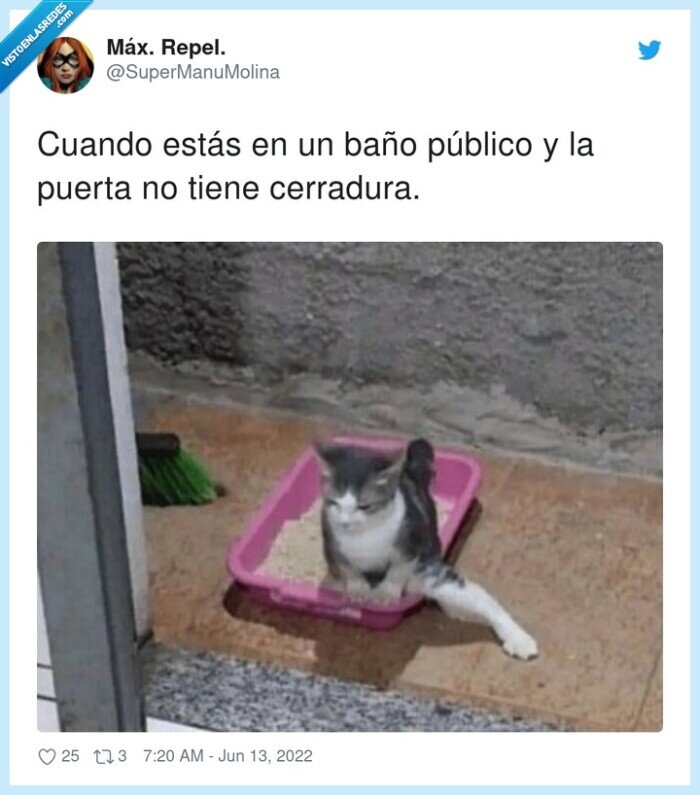 cerradura,público,gato,puerta,baño