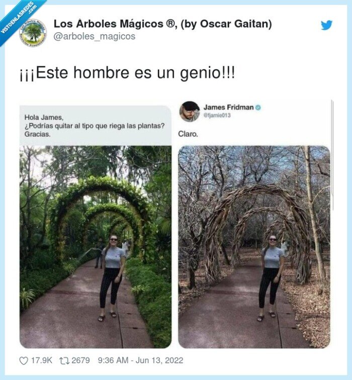 hombre,genio,jardin,regar,plantas