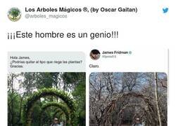 Enlace a El gran trabajo que hacen los jardineros y poco valorado cuando paseamos por un parque, por @arboles_magicos