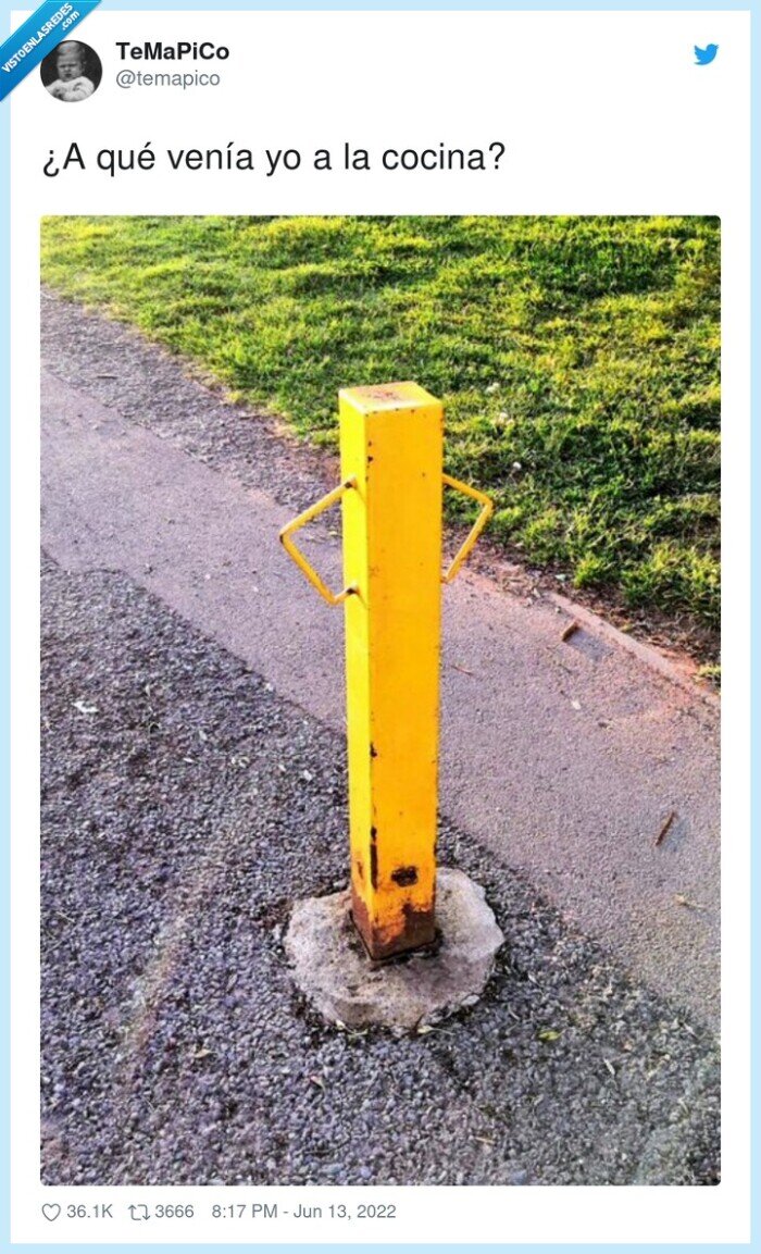 vado,cocina,brazos cruzados