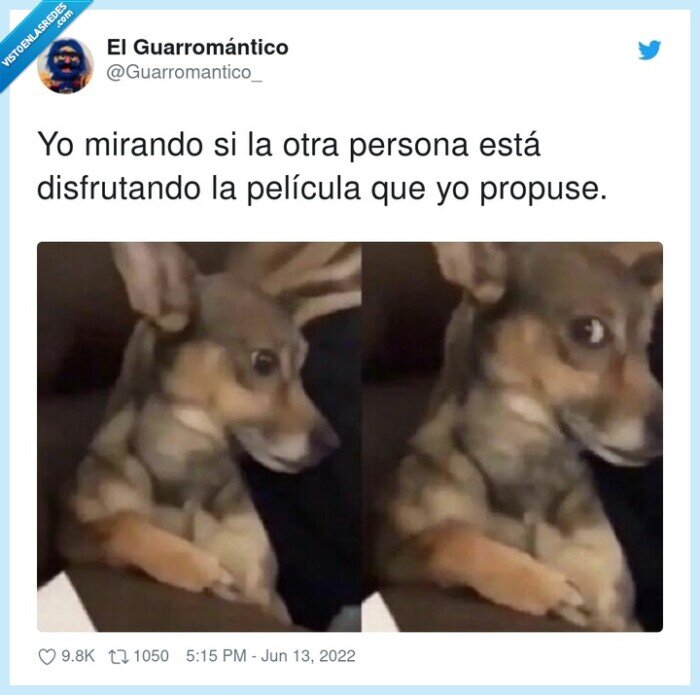 disfrutar,película,mirando,persona