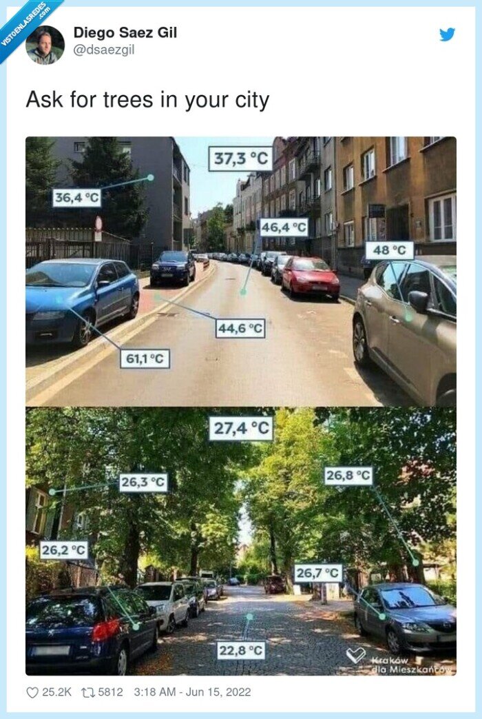 árboles,ciudad,plantar,sombra,calor,sol