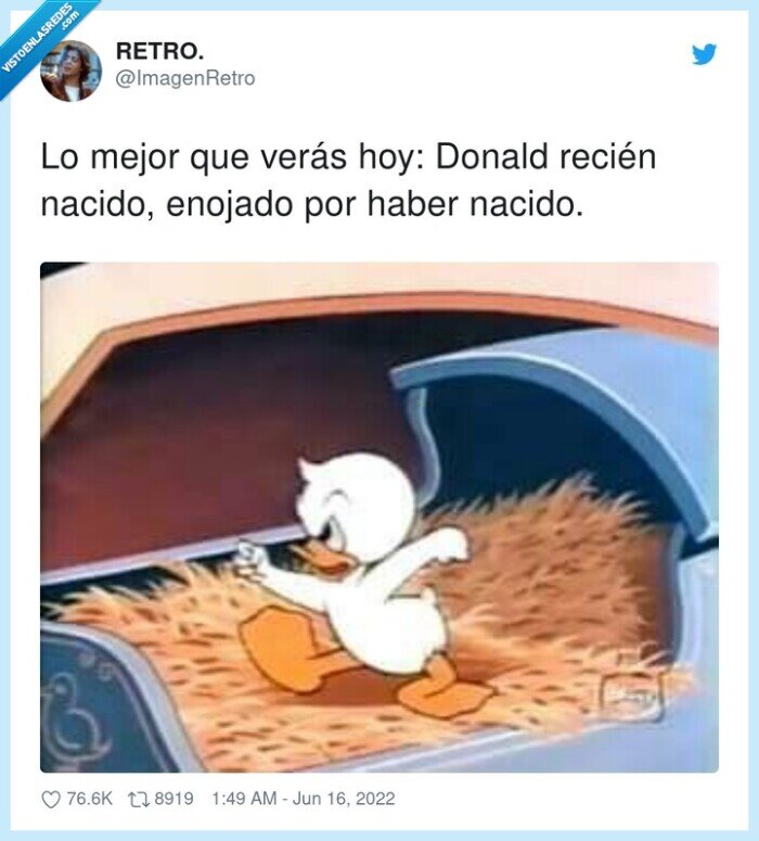 nacido,recién,cabreado,donald