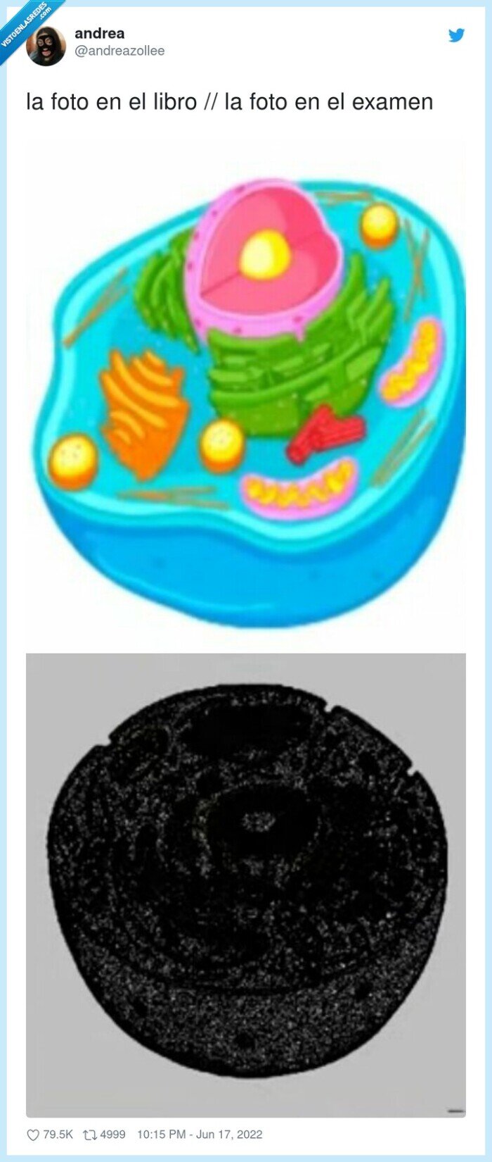 examen,libro,foto,fotocopia