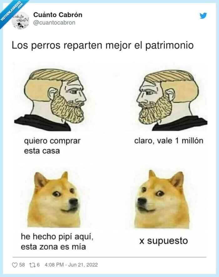 patrimonio,repartir,perros,pis,comprar