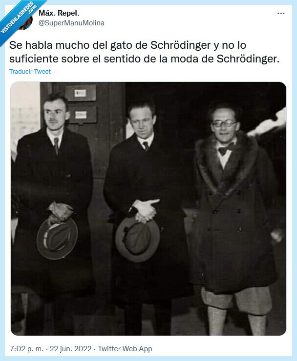 moda,sentido,schrodinger,gato