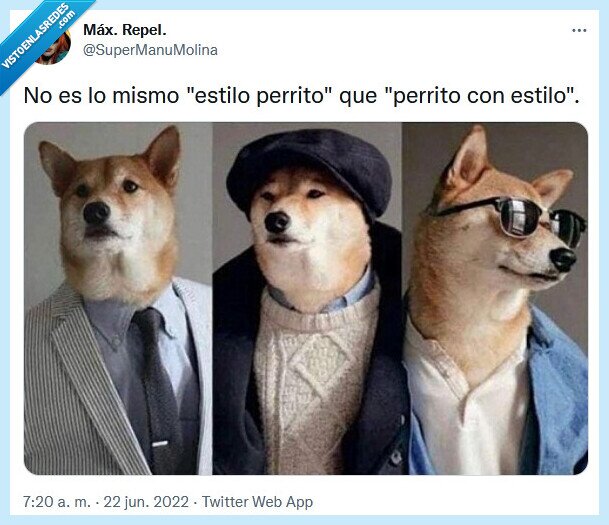 perrito,estilo