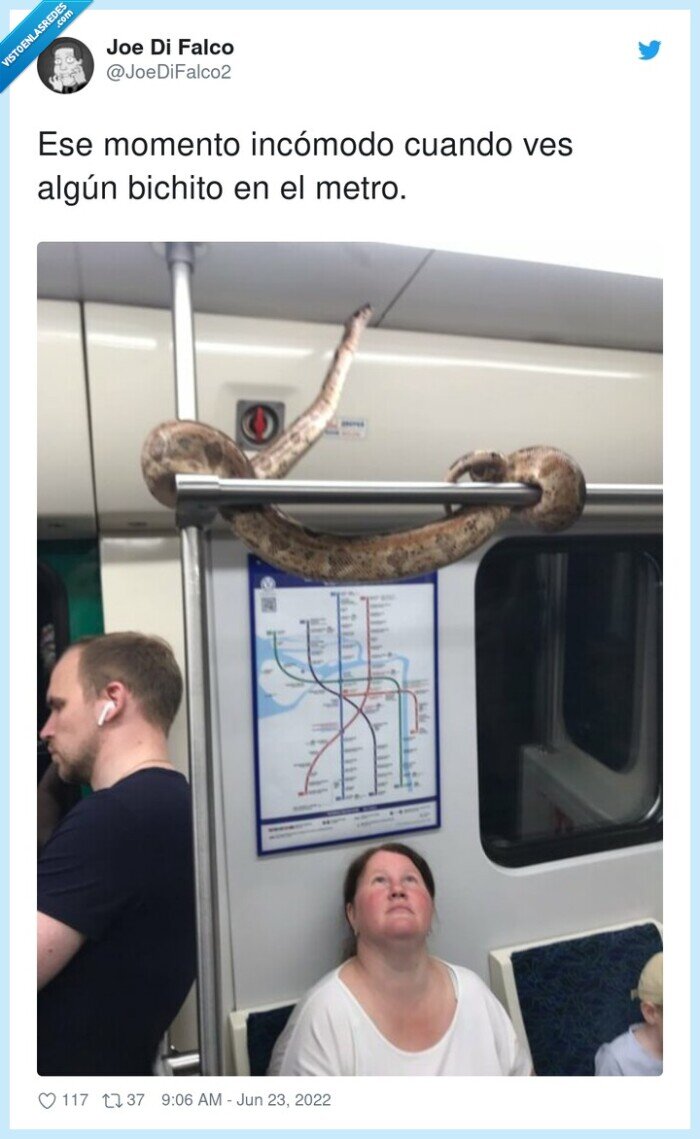 incómodo,momento,bichito,serpiente,metro