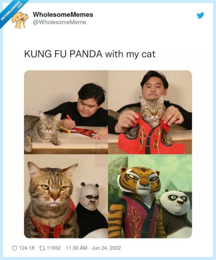 lowcost cosplay,kungfu panda