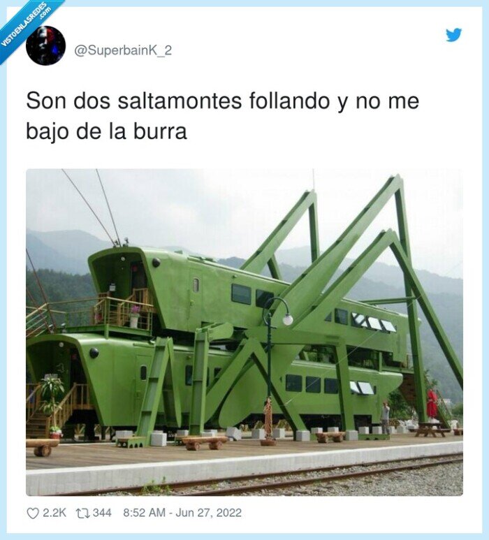 saltamontes,locomotora,construcci&oacute;n