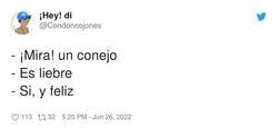 Enlace a Liebre como el viento, por @Condoncoj ones