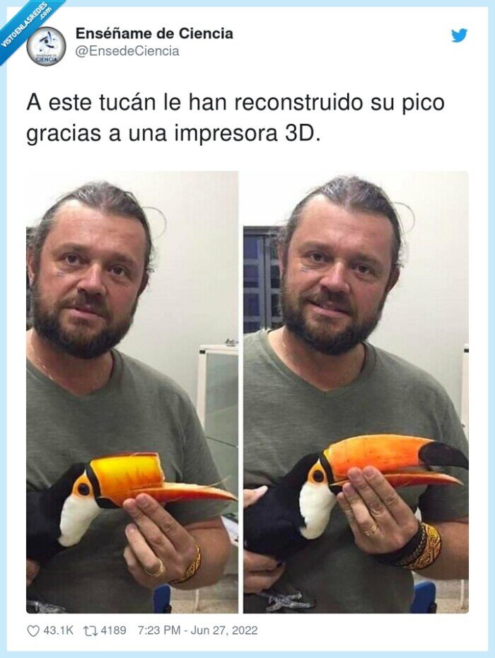 reconstruido,impresora,gracias,tucán,pico