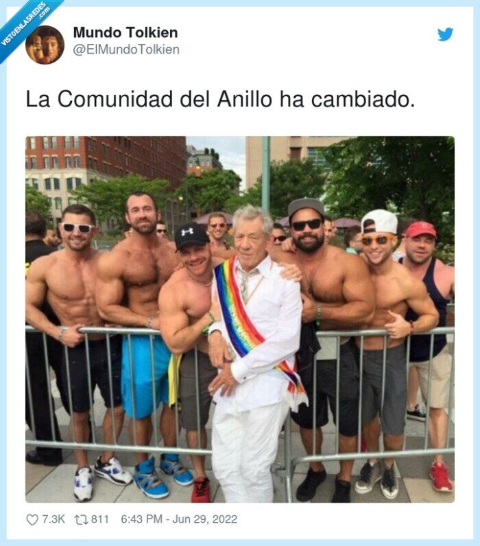 comunidad,del anillo,gandalf,gay,pride