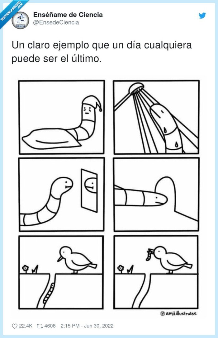 gusano,pajaro,comer