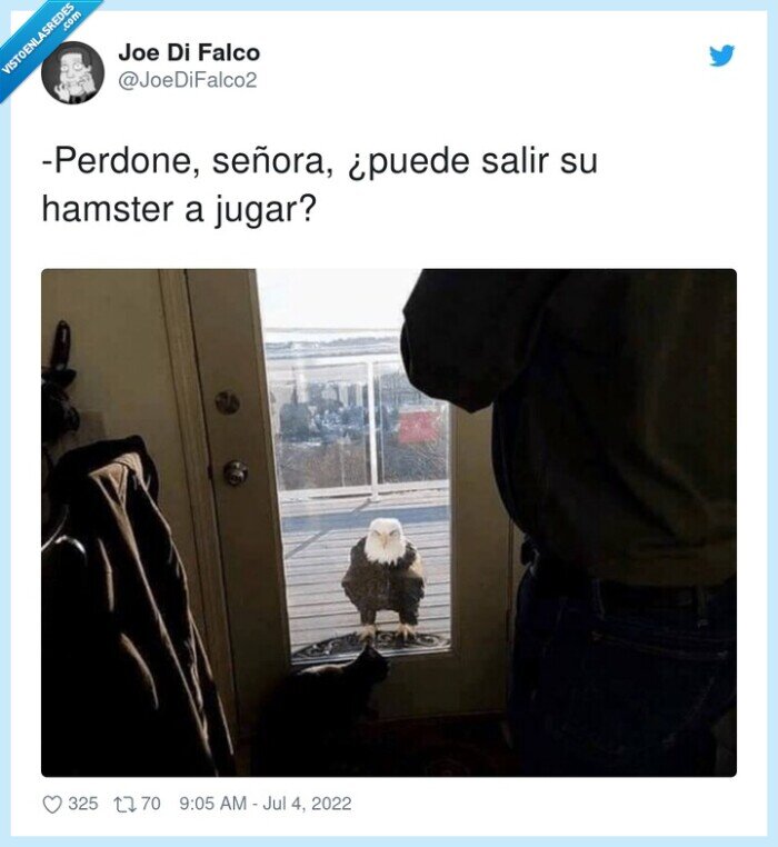 perdone,señora,hamster,aguila,salir,jugar
