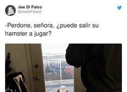 Enlace a Será solo un momentito, por @JoeDiFalco2
