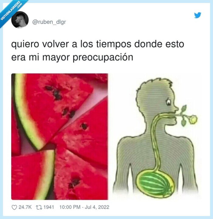 preocupación,tiempos,volver,sandia,semillas