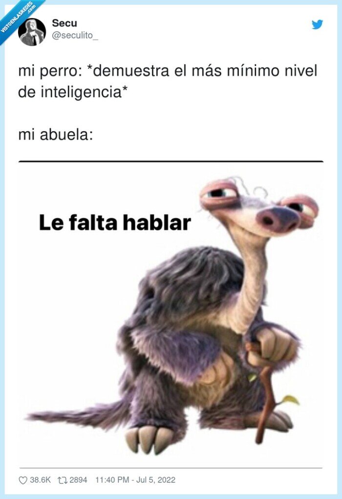 inteligencia,demuestra,mínimo,abuela,perro