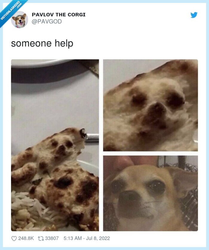 perro,pan,pita,aparecerse