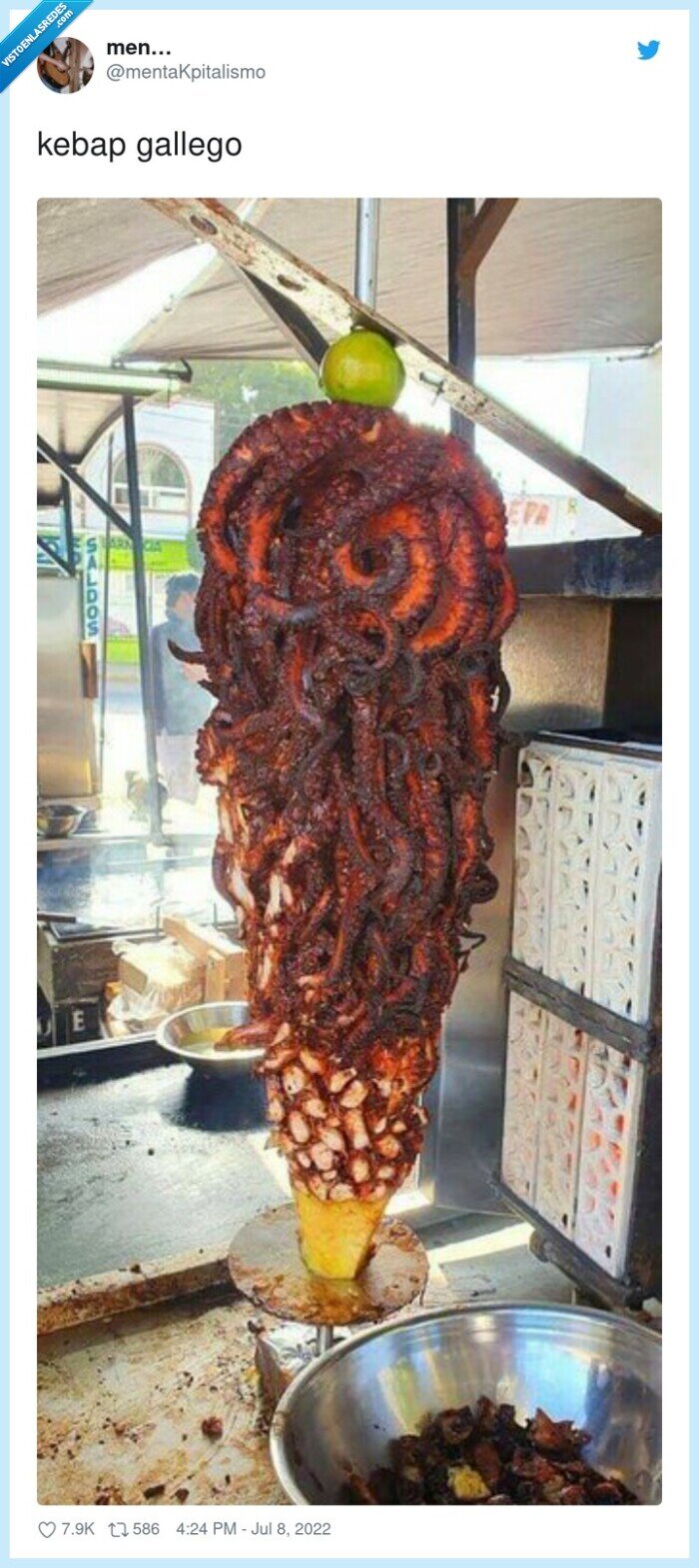 gallego,kebap,pulpo