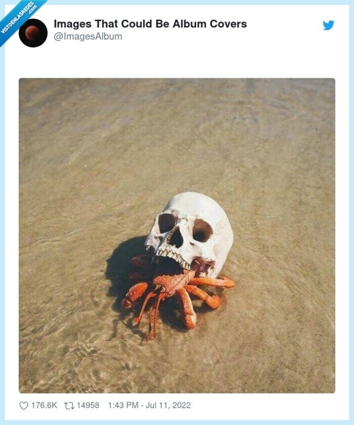 cangrejo,calavera,playa,musica,portada