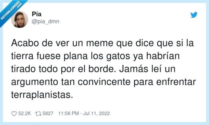 terraplanistas,convincente,enfrentar,argumento,gato,plana,tierra