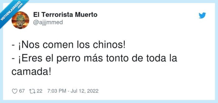 chinos,camada,comer,perro