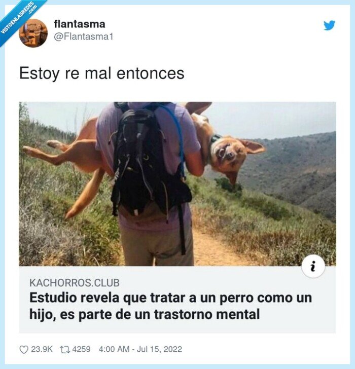 perro,hijo,tratar