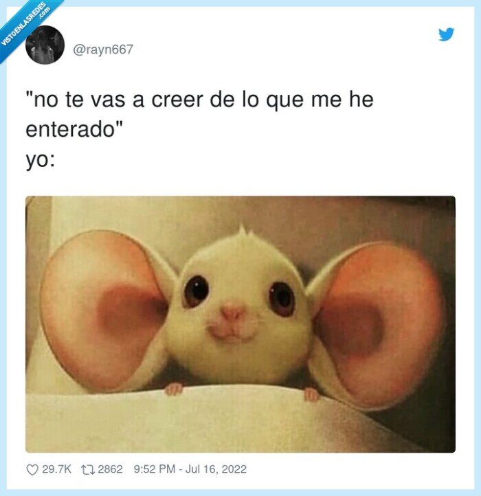 enterado,creer,orejas,escuchar,cotilleo