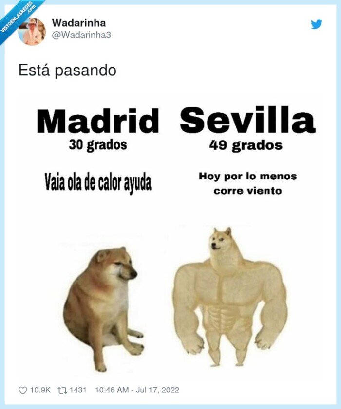 cheems,doge,calor,madrid,quejicas