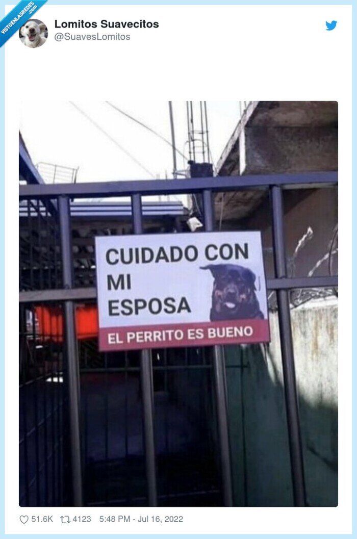 esposa,peligrosa,cartel,perro