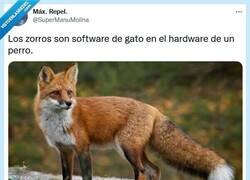 Enlace a El 2x1 animal por @supermanumolina